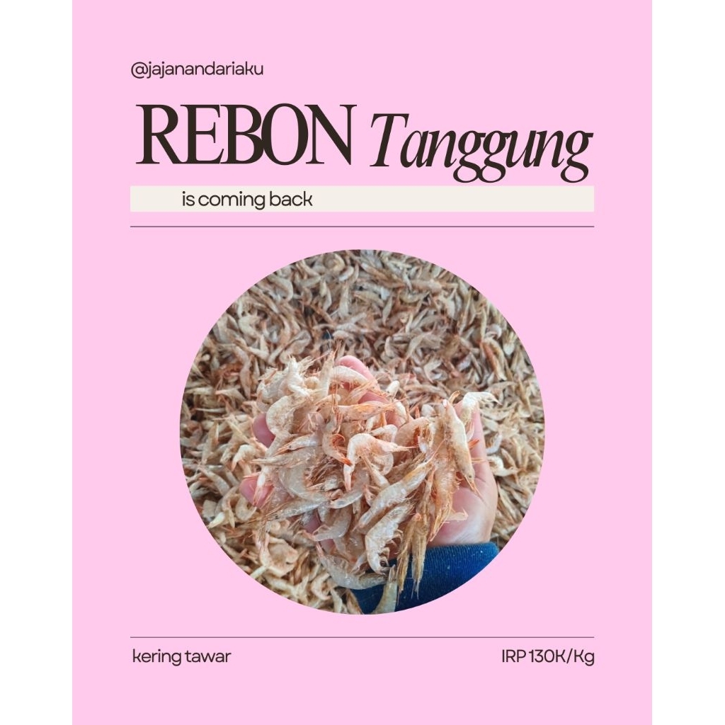 

Rebon Tanggung