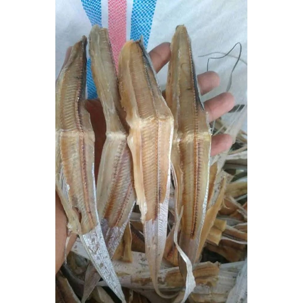 

Ikan Asin Beledang Belah Tawar – Gurih Ringan, Tidak Terlalu Asin