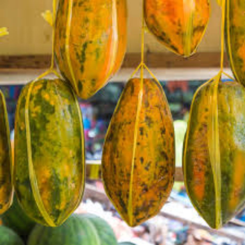 

pepaya california buah segar dan higenis
