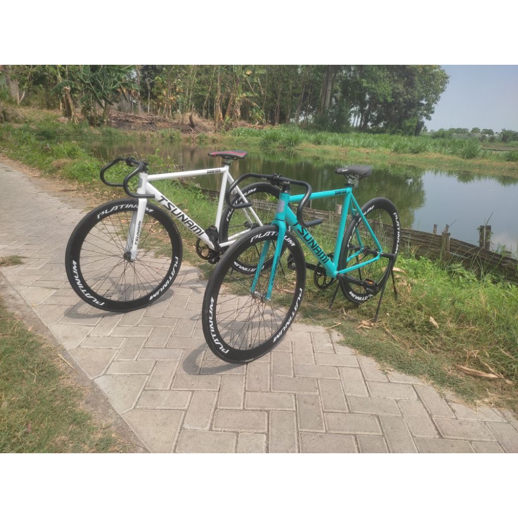 tsunami custom fullbike fixie