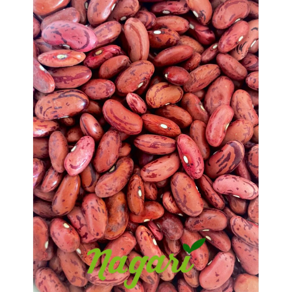 

Kacang Merah Lokal Mentah Kering 1KG