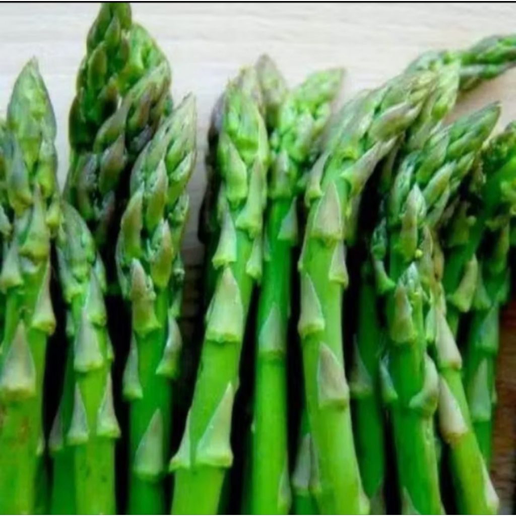 3 biji benih bibit Asparagus super