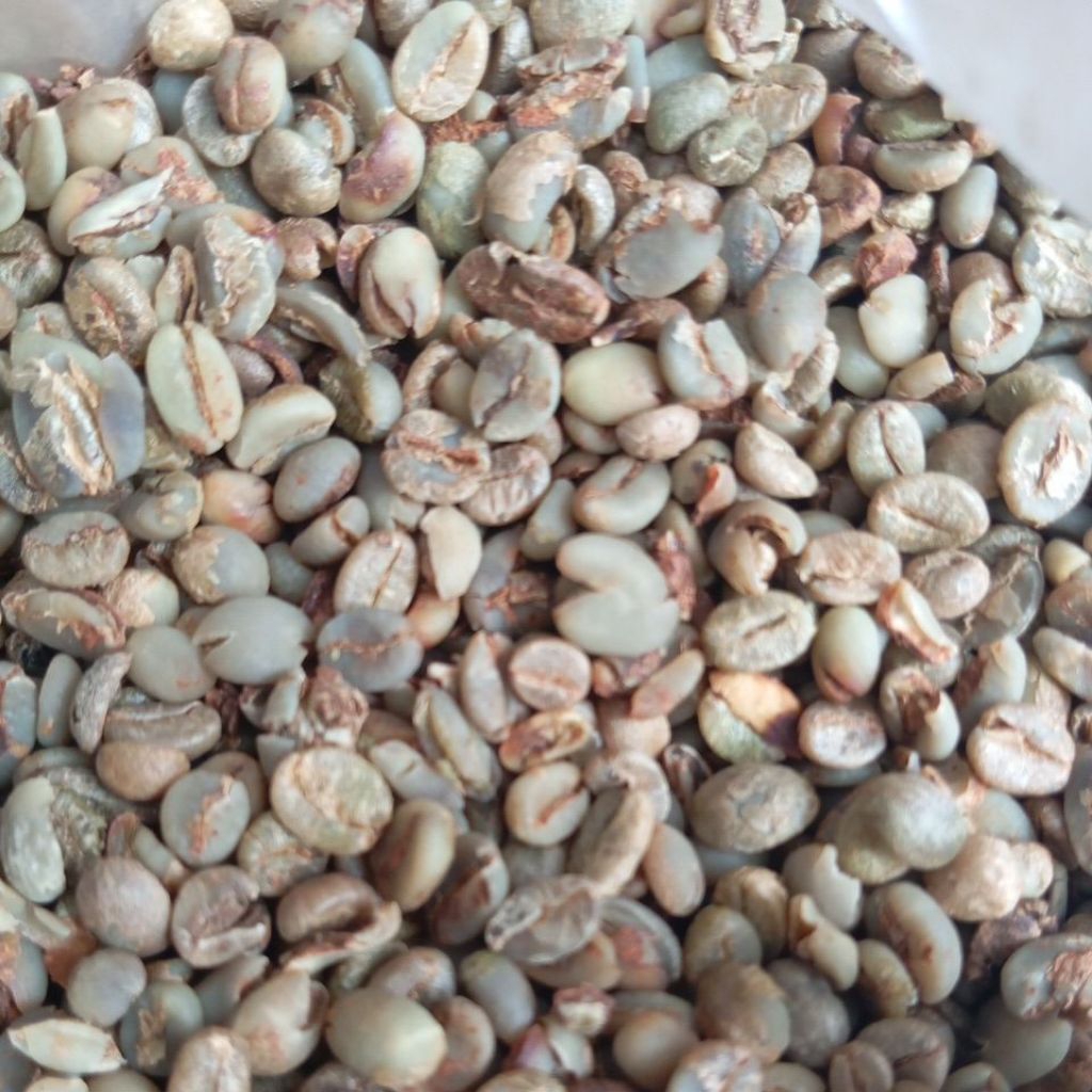 

BIJI KOPI ROBUSTA PETIK MERAH