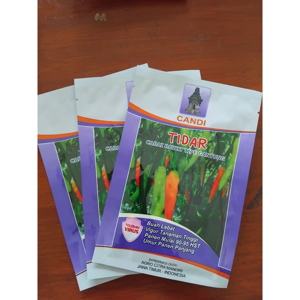 

cabe rawit TIDAR