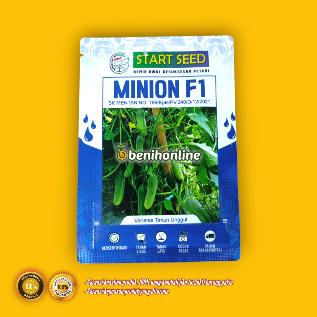 MINION F1 benih timun unggul start seed timun baby lalap bellavy bestie