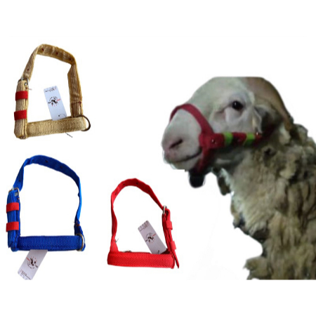 Halter Kambing Domba brangus / Tali Mulut Kambing Domba