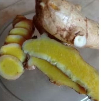 

Temu mangga segar bersih 500 grm