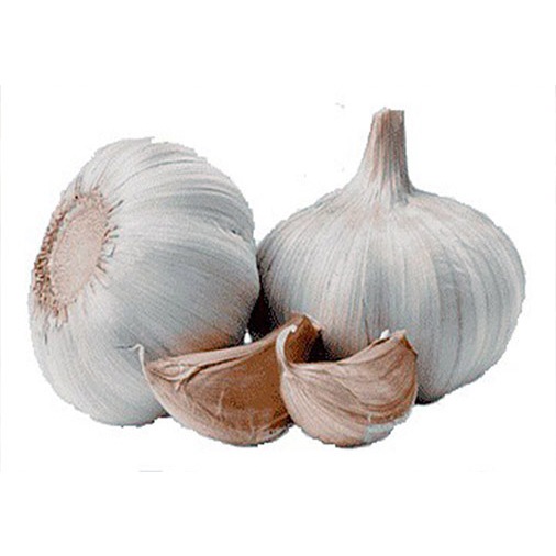 

Bawang Putih Kating 1/2 Kg - Siungan Premium Segar