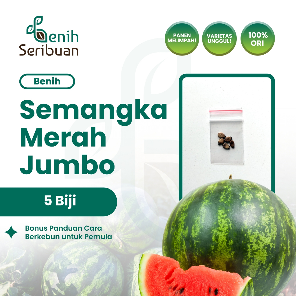 Benih Buah Semangka Jumbo F1 untuk Pertanian Rumahan - 5 Benih, Buah-buahan