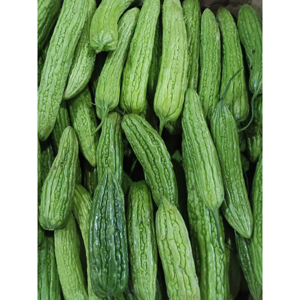 

Pare Fresh 1kg Pengiriman Instant