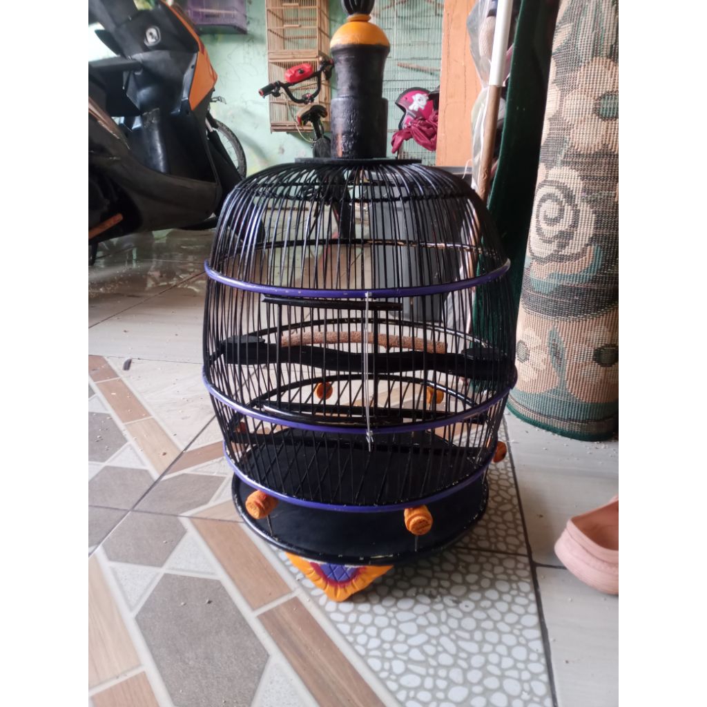 sangkar perkutut minion murah tebok bisa lepas