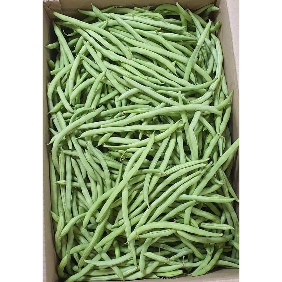 

Buncis Fresh Pengiriman Instant @500gr @1kg