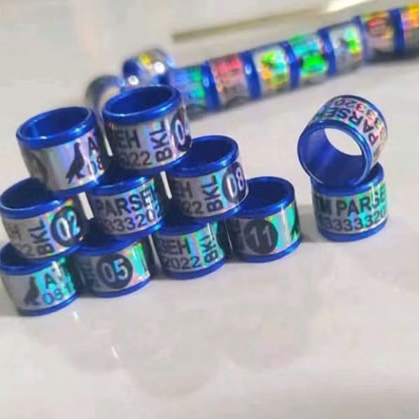 MURAH BANGET RING BURUNG MERPATI RODA HOLOGRAM PELANGI