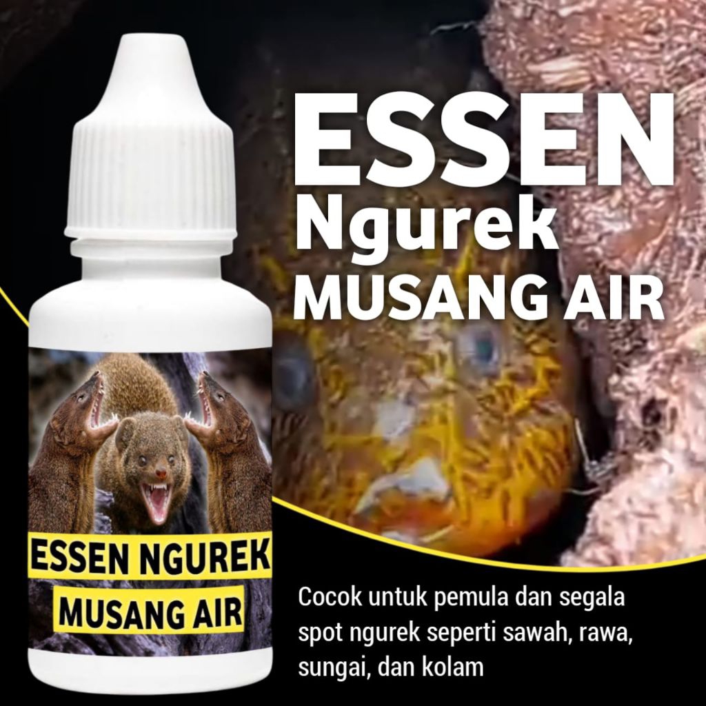 Essen mancing belut musang air