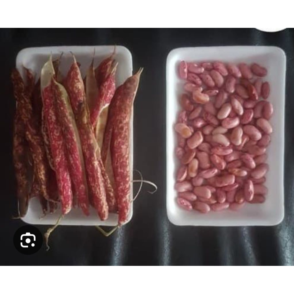 

Kacang Merah kulit fresh
