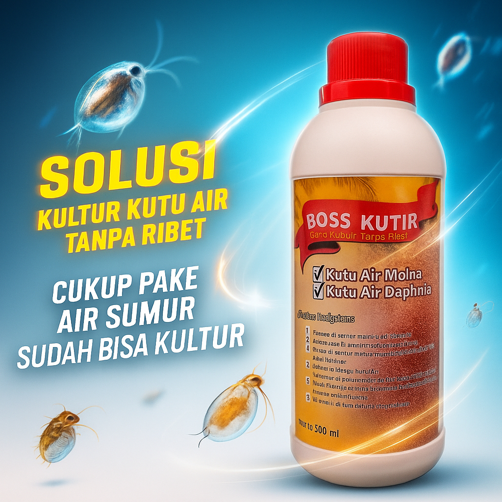 Pakan Kutu Air Hidup Burayak Cupang | Kultur Starter Pakan Alami Ikan Hias & Larva
