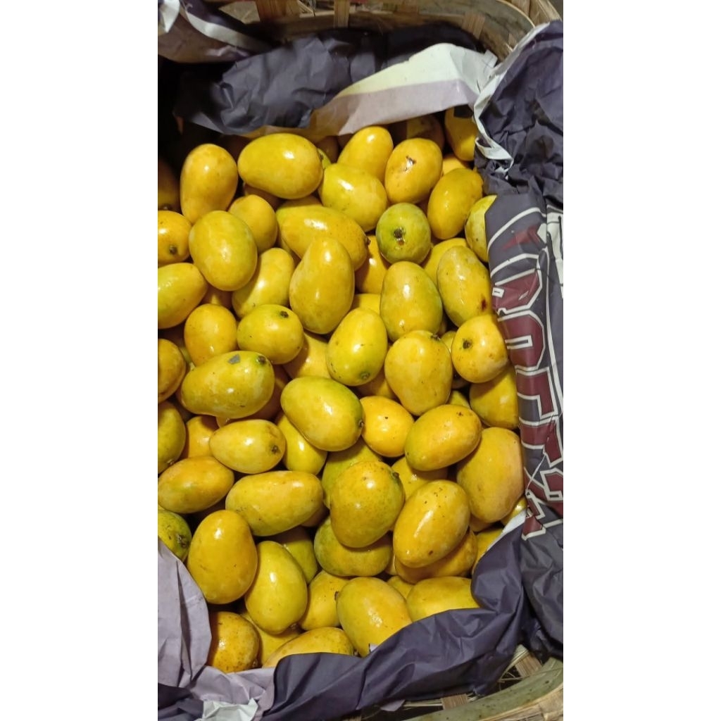 

[READY STOK]mangga toba mangga udang Fresh pengiriman aman Buble + box