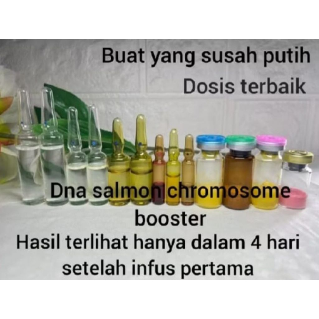 DNA salmon chromosome boster