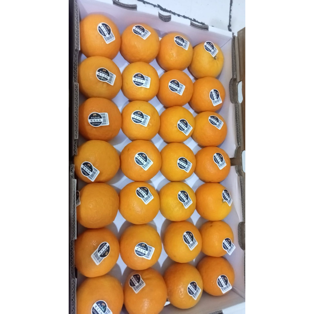 

Jeruk Wokam Manis Freah | Jeruk Wokam Mandarin RRC 1 kg