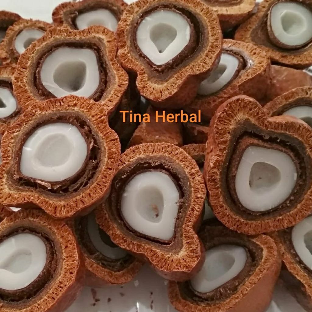 

Buah Zuriat Belah 500 gram Doum asli Mesir siap rebus zuriat promil subur kandungan