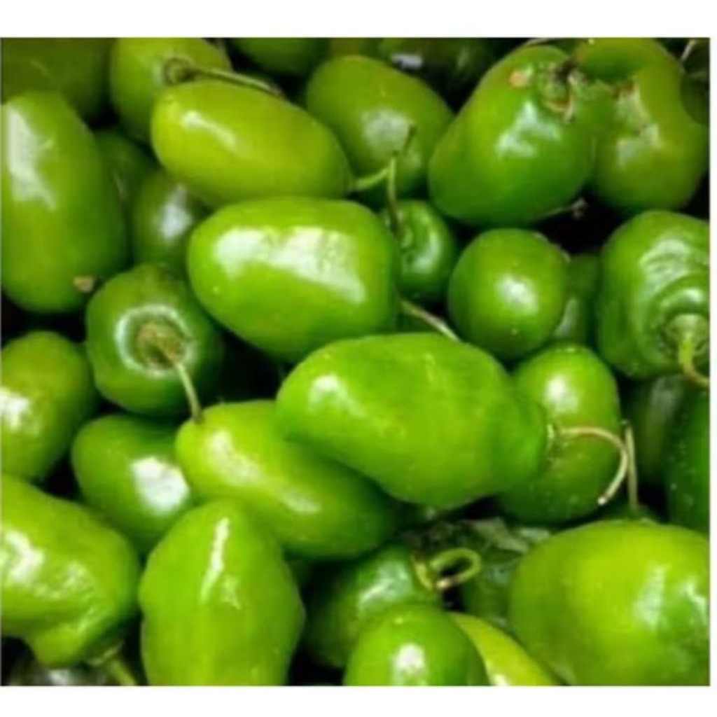

Cabe Jalapeno lokal / Cabe gendot fresh 500gram