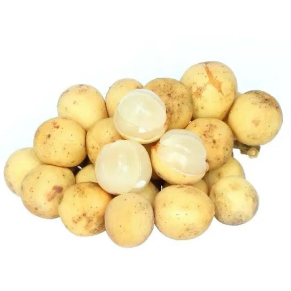 

Duku Palembang Super Manis Fresh 1 kg