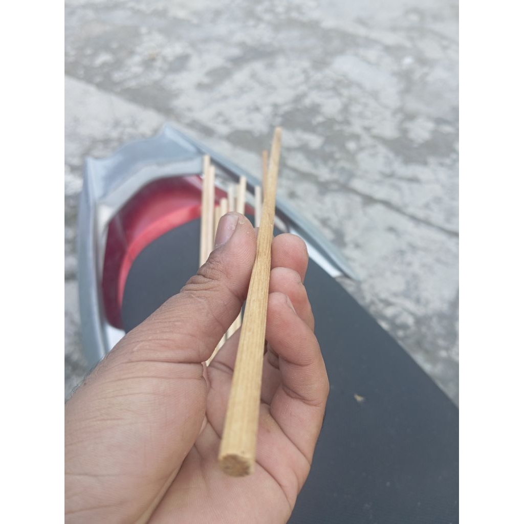 Tangkringan pleci