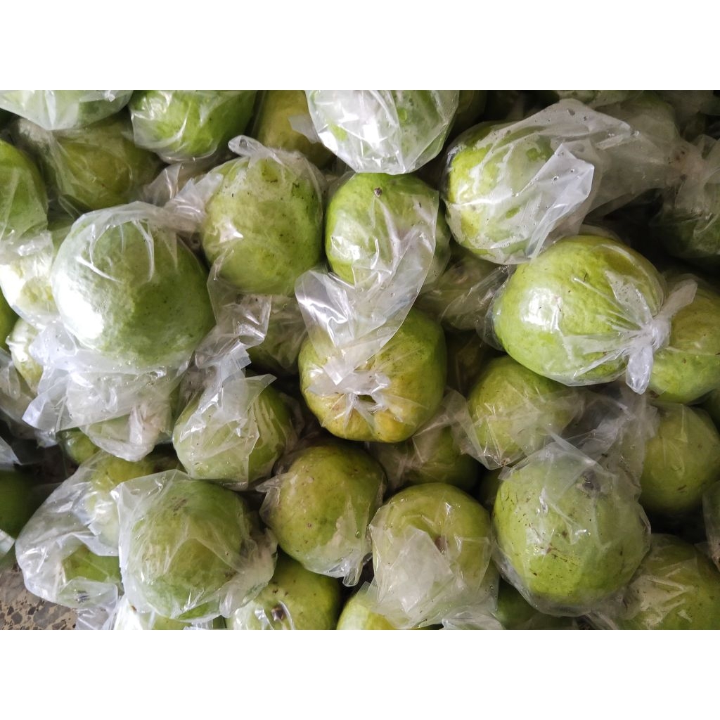 

Jambu Kristal 1KG Random