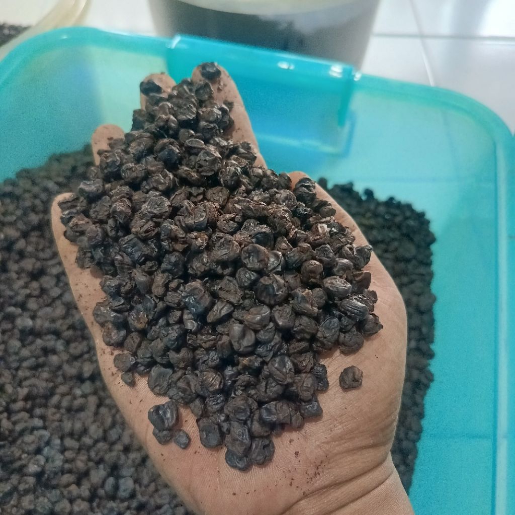 

Jagung Marning Roasting