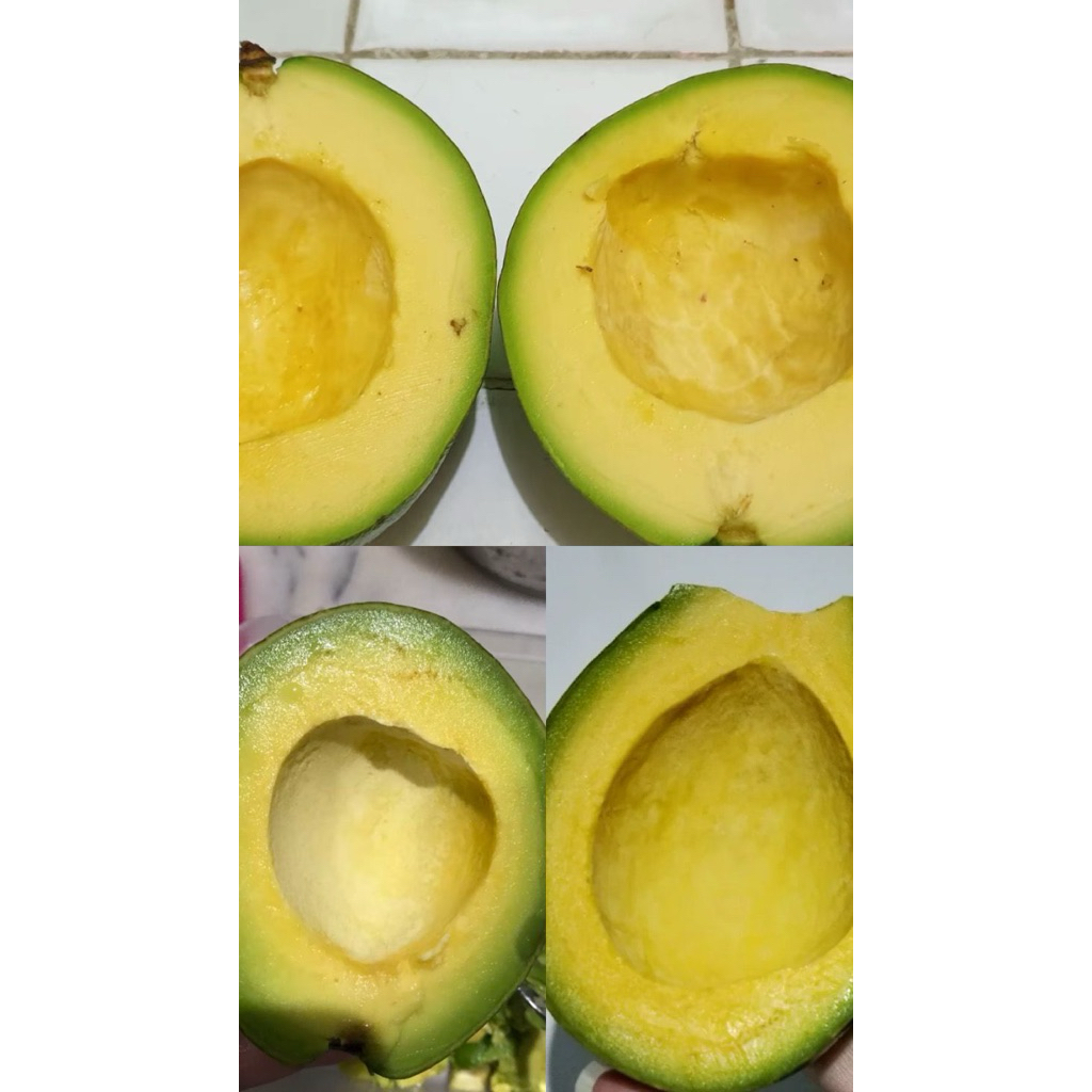 

Alpukat mentega 1kg+adm15%