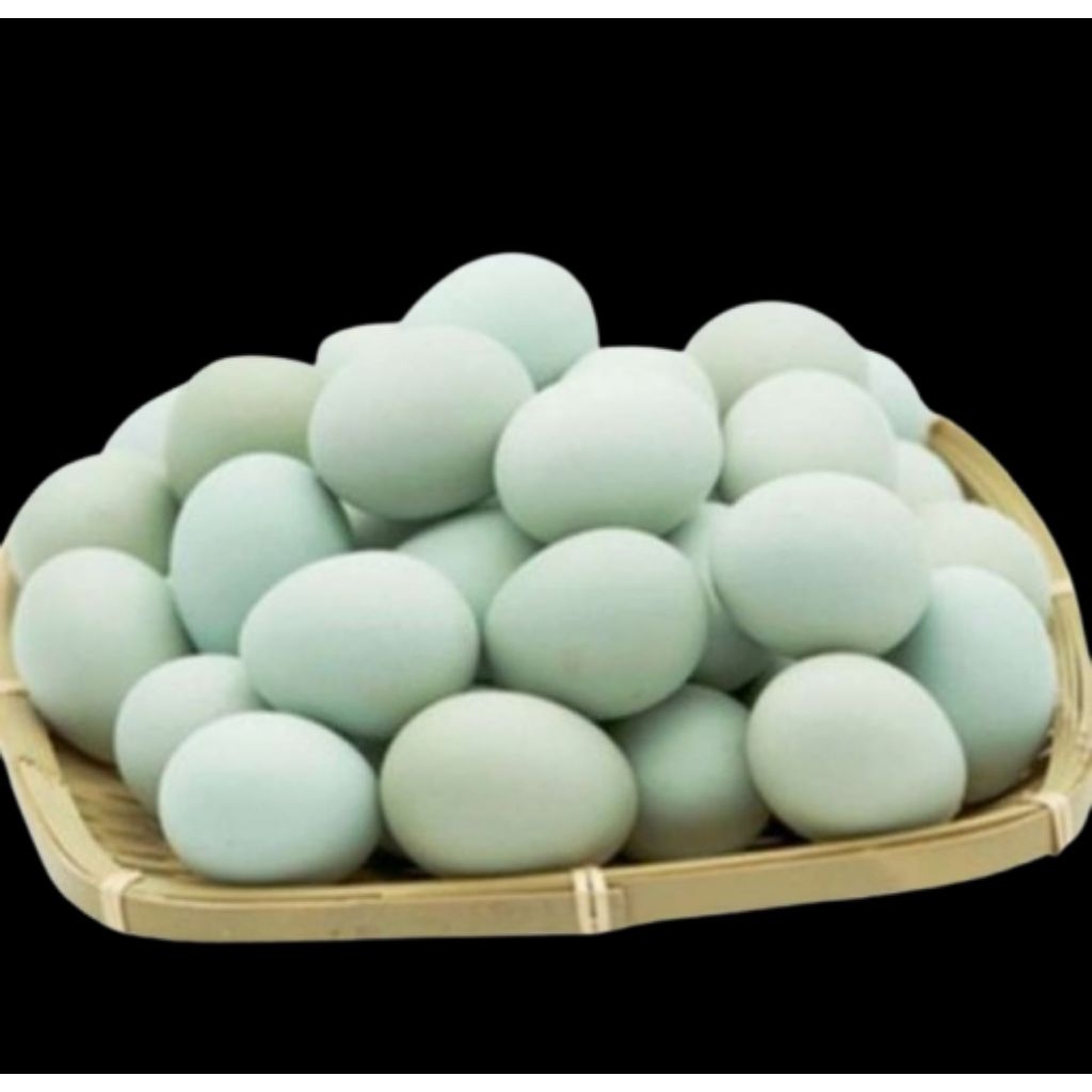

Telur Bebek Fresh ( 6 Butir )