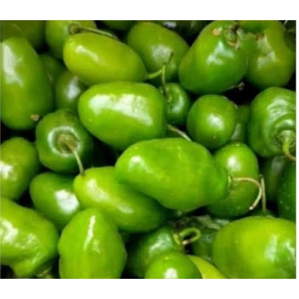 

Cabai Gendot Cabe Viral Segar 500 Grm