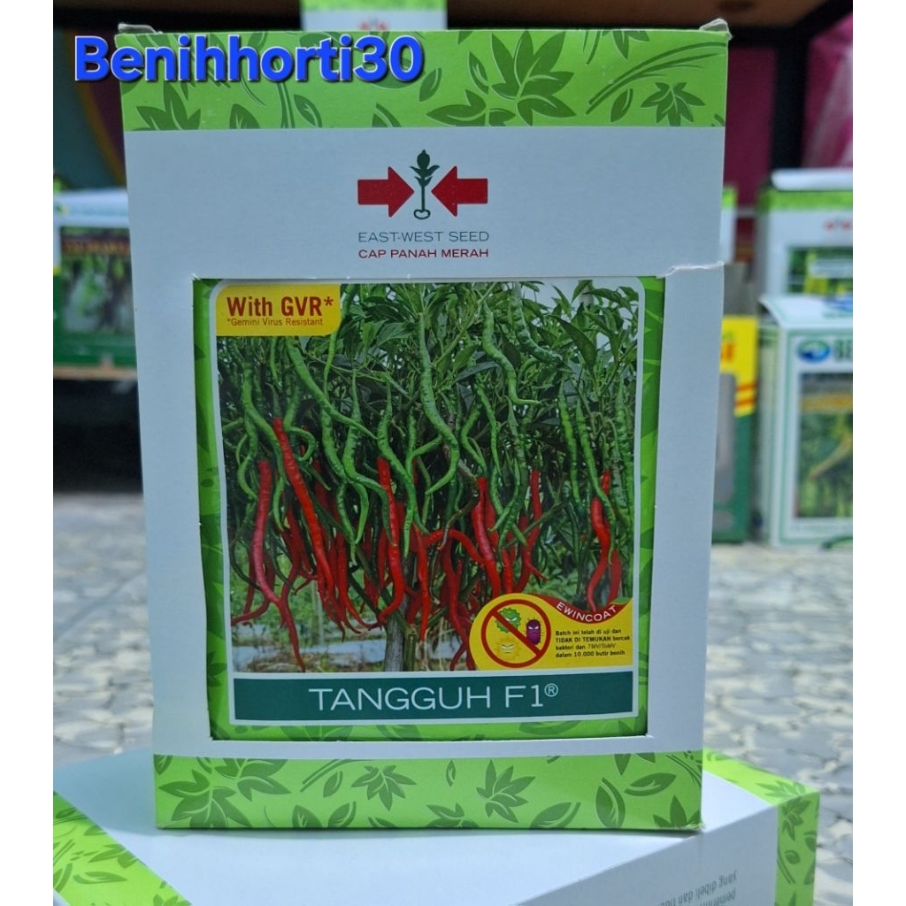 1 kotak / 15 bungkus Benih Cabe Keriting Tangguh F1 isi 2000 butir