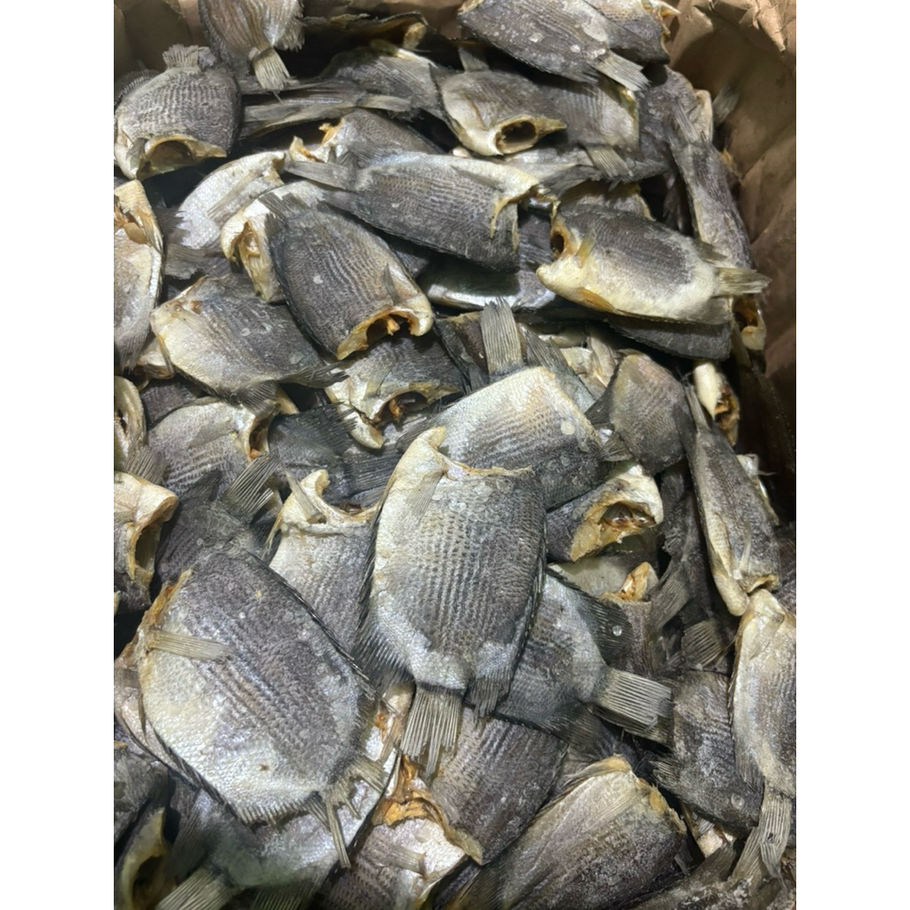 

Ikan Asin Tembakang/Biawan Jumbo
