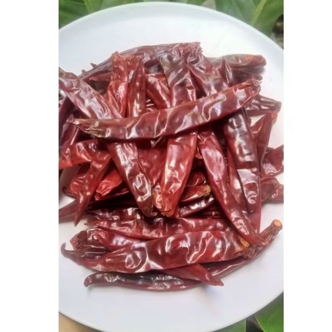 

Cabe kering besar WH 1 kg