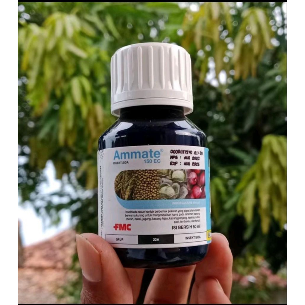 Ammate 50ml insektisida