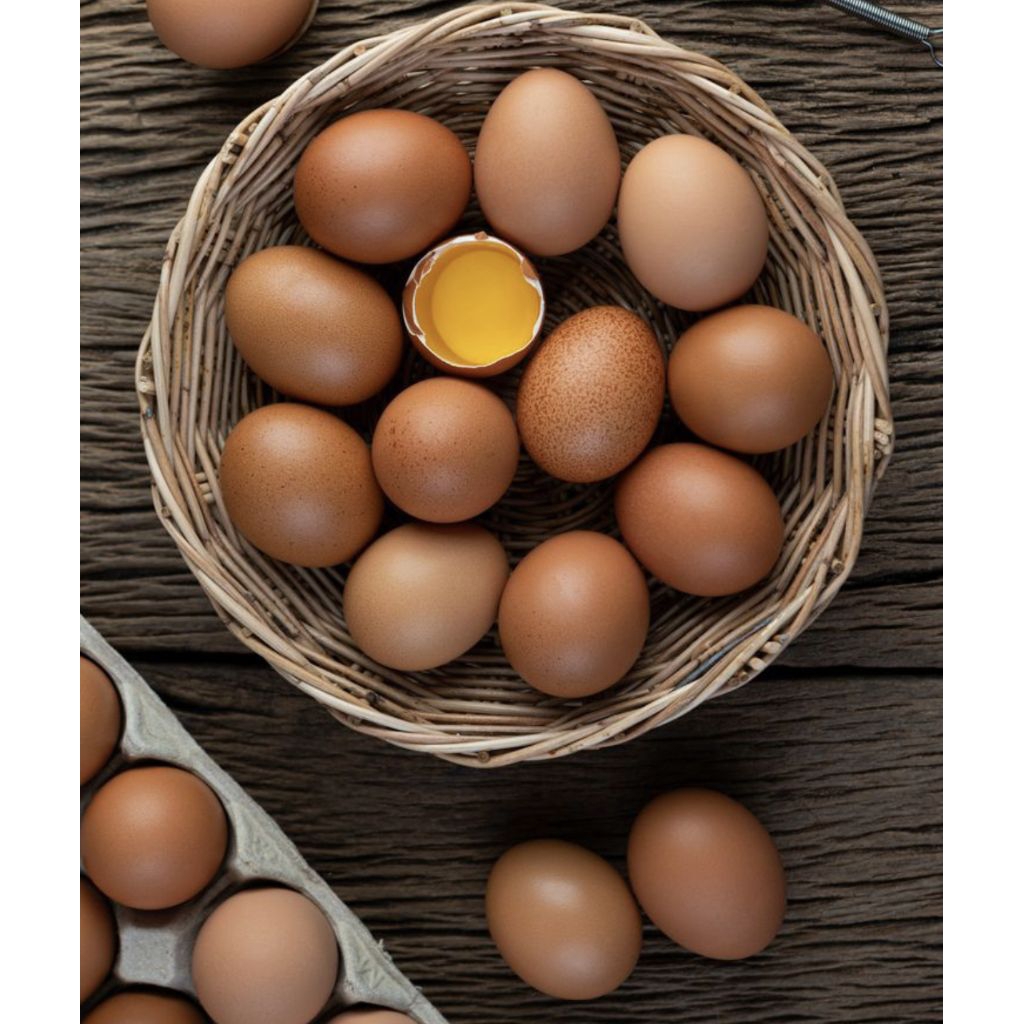 

Telur Omega-3 Alami | Produksi Rumahan