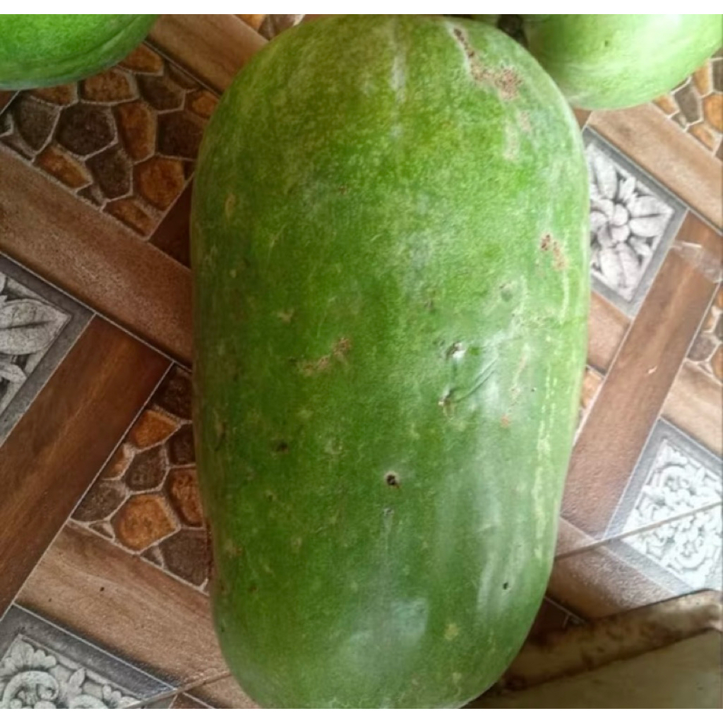 BUAH KUNDUR FRESH 1-1,5KG/BUAH BLIGO 1 - 1,5 KG/BUAH BELIGO/ BUAH MANISAN LUWOH/WINTERMELON/LABU BLO
