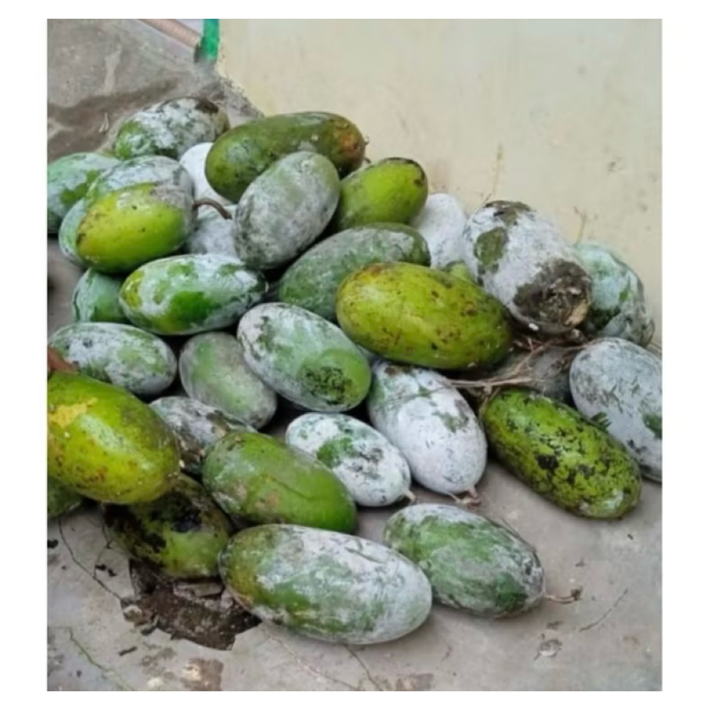 

kundur\bligo fresh 2,2kg-2,6kg