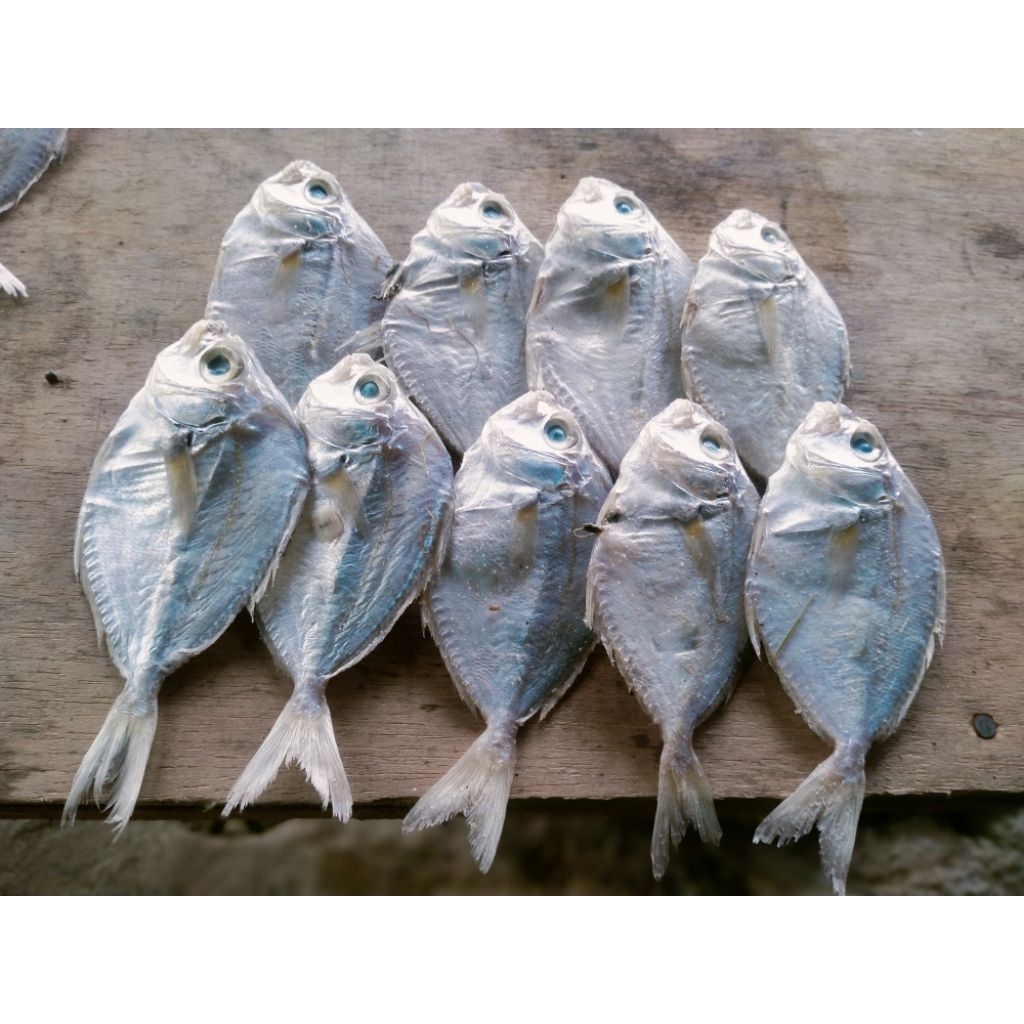 

ikan asin PETEK : 500g gurih dan enak