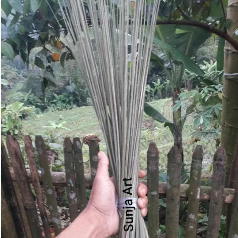 Sapu tanah tebal/ sapu taman/sapu lidi