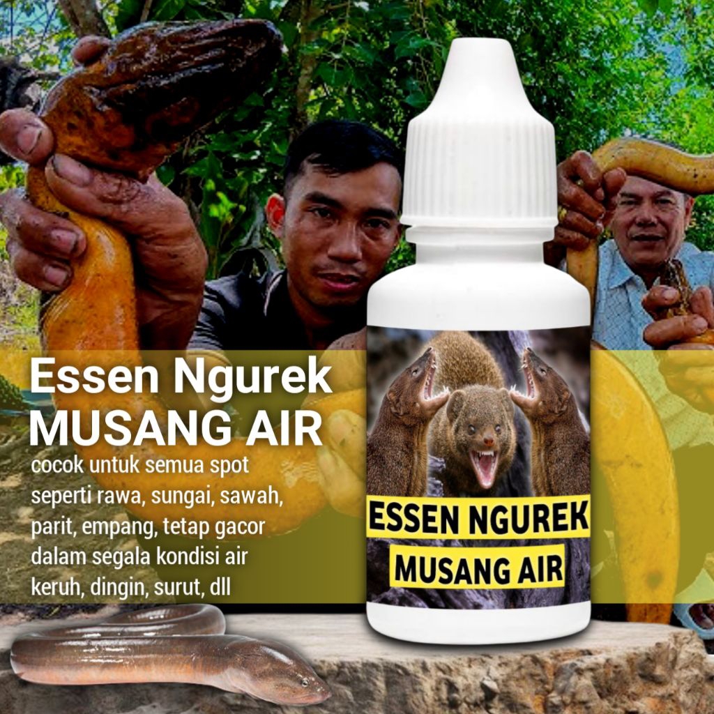 Essen untuk ngurek belut monster