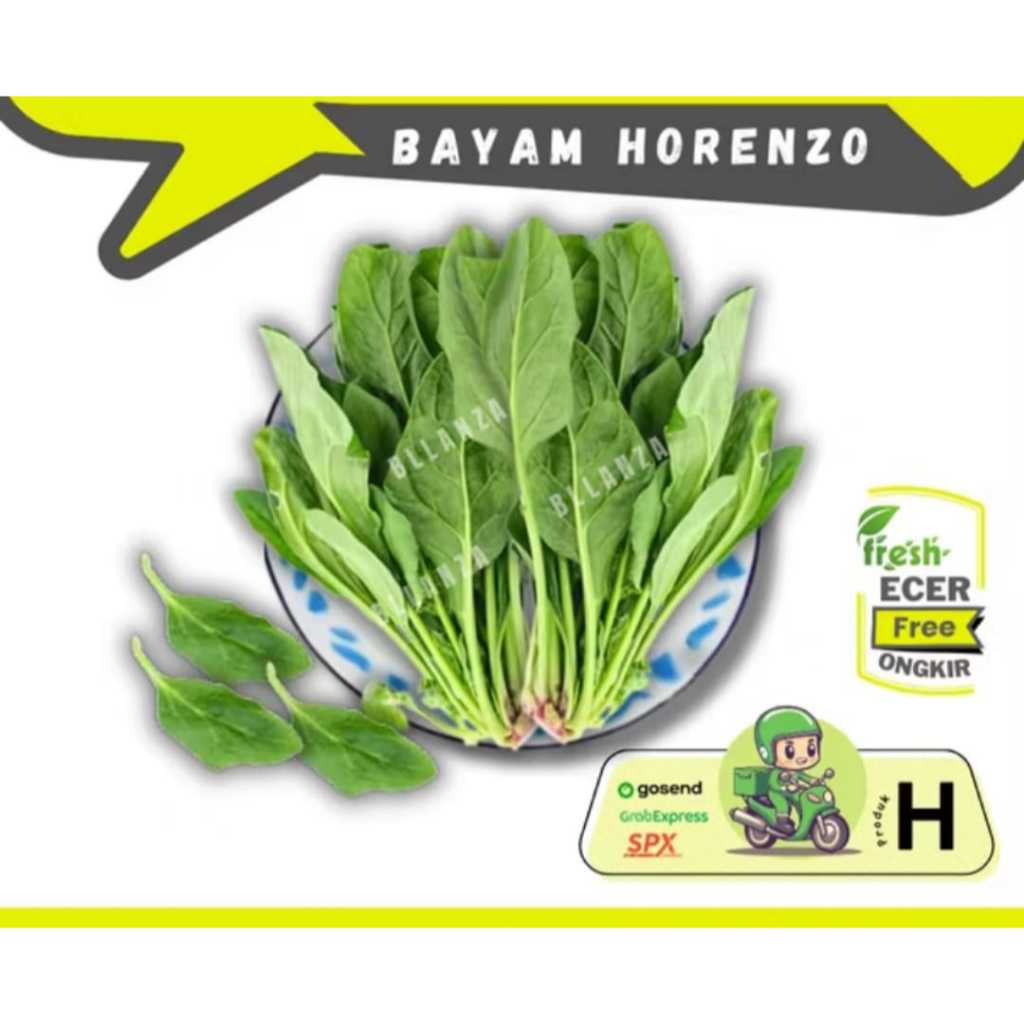 

Sanmonggoo || Bayam Poileng / Bayam Horenzo -- Hasil Bumi Sindoro Sumbing Ecer (H)
