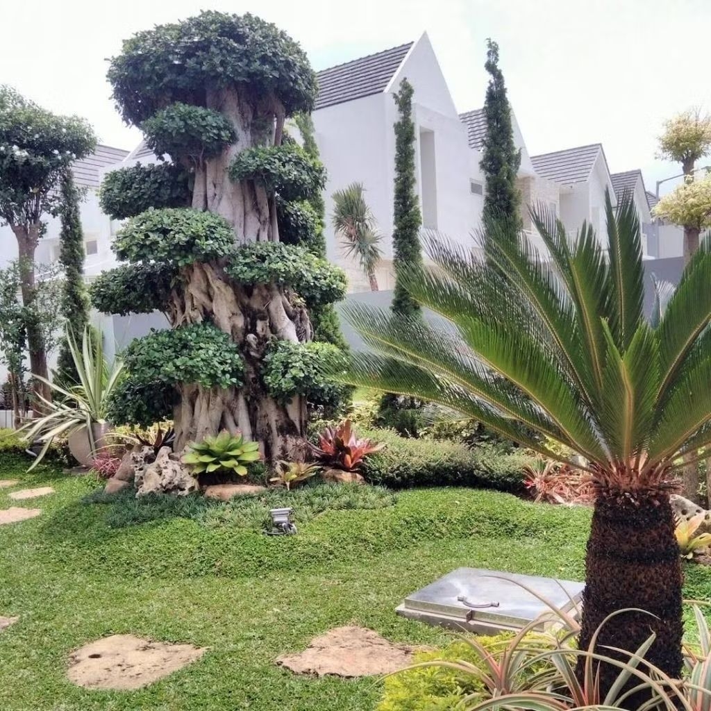PEMBUATAN TAMAN BONSAI SUPER HIASAN TAMAN