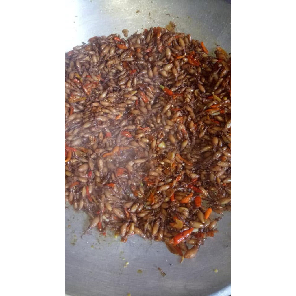 

TumBy Tumis Baby Cumi kemasan 100gr enakk poll