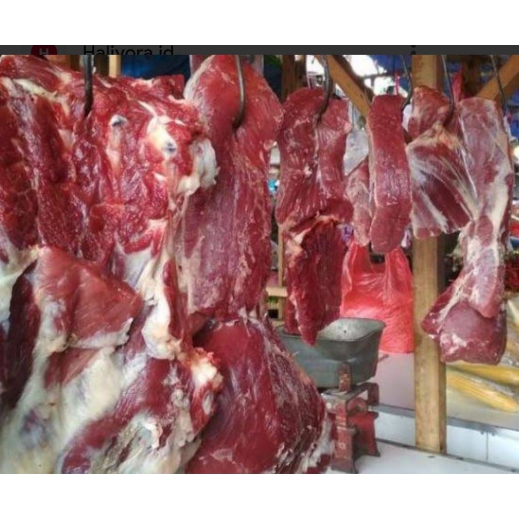 

daging sapi 500gram no2 bppn