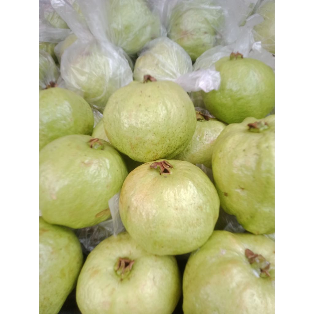

Jambu kristal fresh