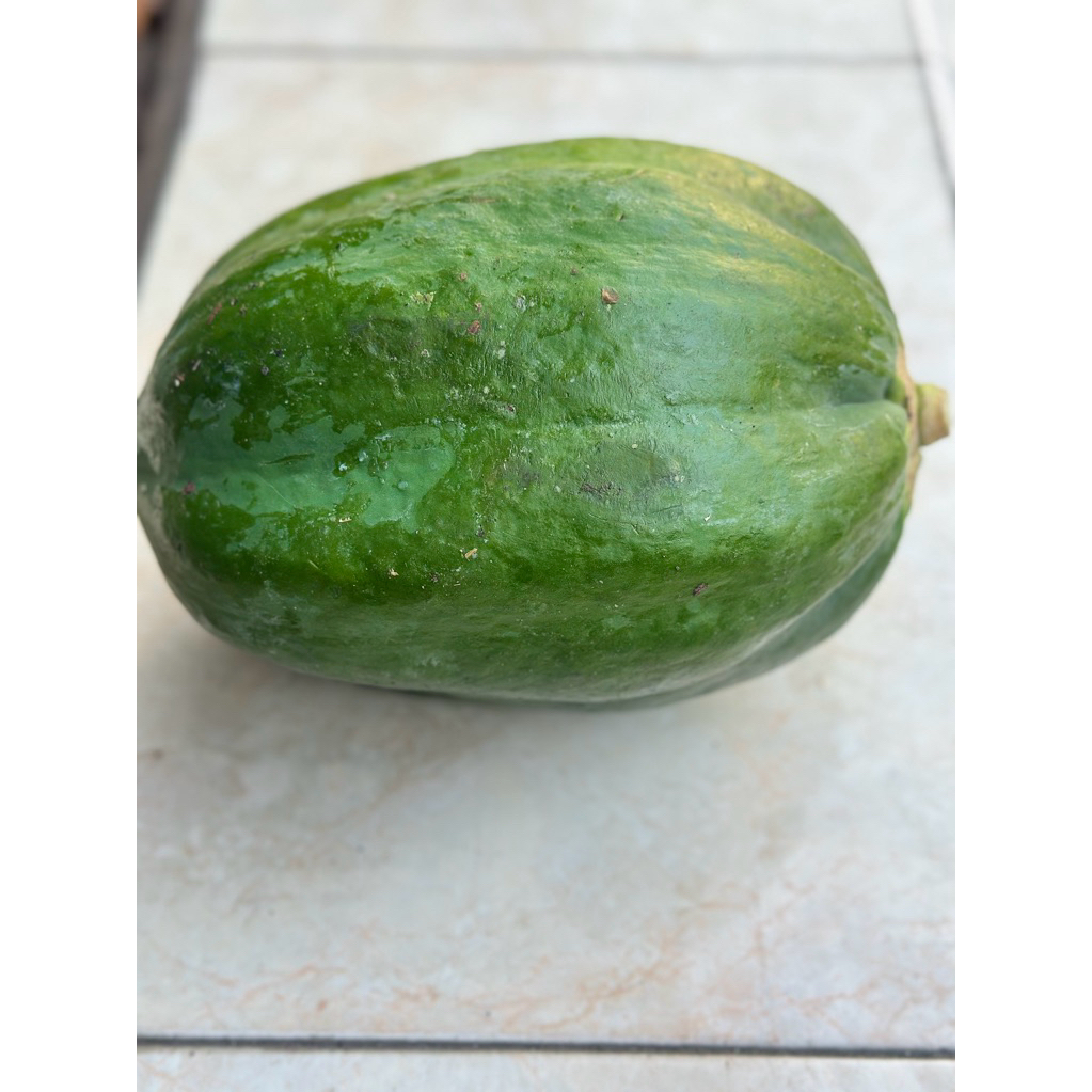 

Pepaya Muda, Pepaya sayur -+1100gr