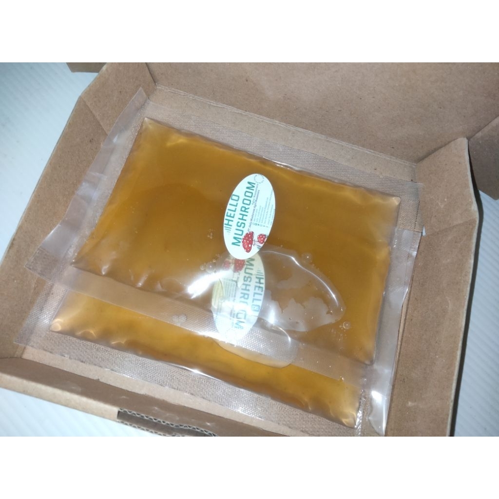 

Air Starter Kombucha