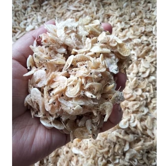 

Udang Rebon Besar / Kecepe / Ha Hong / Bue He / Hahong / Hamie / Udang Kering / Hebi Halus / Bwe He